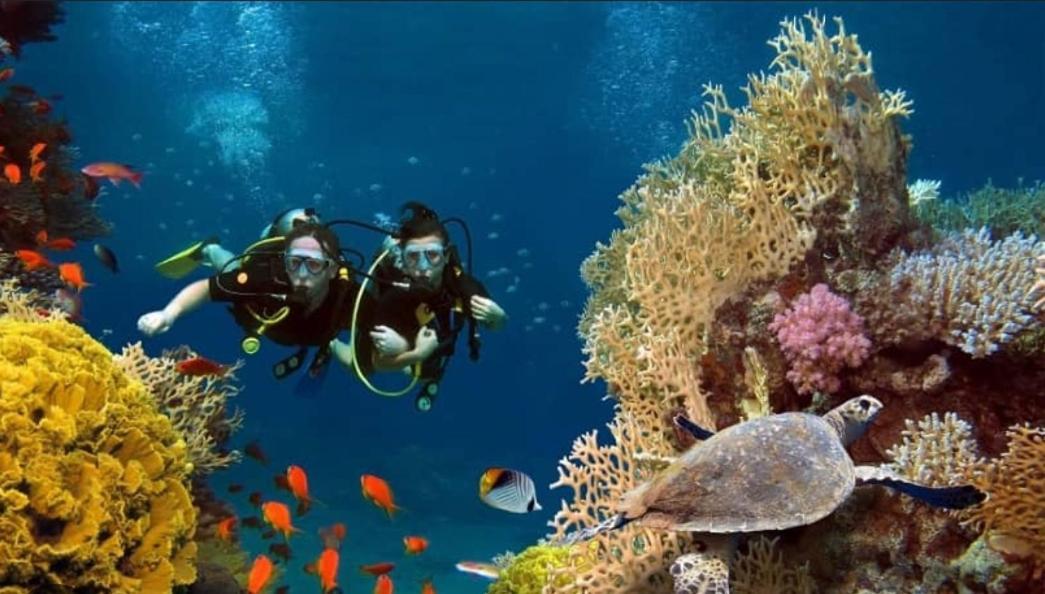 فندق Elysian Hideaway مافوشي المظهر الخارجي الصورة